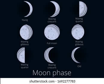 Moon phases. The whole cycle from the new moon to the full. Vector illustration