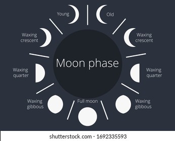 Moon phases. The whole cycle from the new moon to the full. Vector illustration