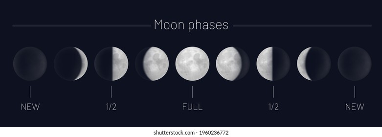 Moon phases whole cycle on night sky. Astrology or astronomical lunar sphere shadow, whole cycle from new to full moon, from first to last quarter realistic vector illustration