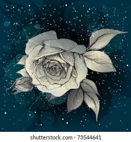 Moon Rose / Night sky background