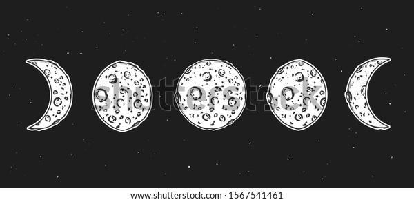 Moon shape with texture and craters.\
Phases of moon. Vector\
illustration.\
\
