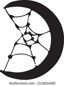 The moon with a web of a spider