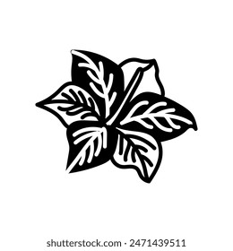 Moonflower Glyph Icon, Vector illustration