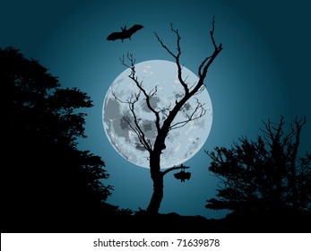 moonlight forest background with silhouette of bat