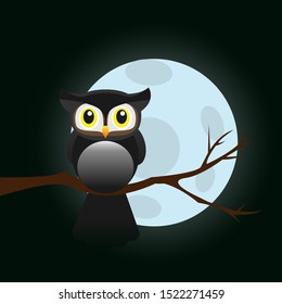 Moonlight night. Owl sitting on a branch