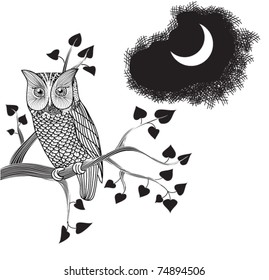 Moonlight Owl, Doodle