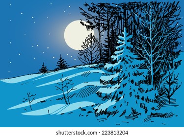 moonlit night in the forest