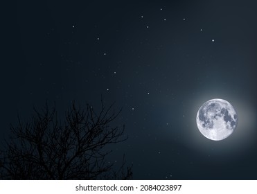 A moonlit sky, with the Ursa Major and the Pole Star as a landmark, in the middle of space and the universe.