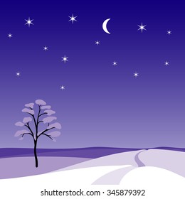 moonlit snowy night