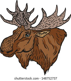 moose