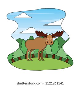 moose animal nature wild in forest landscape