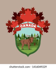 Moose animal and pine trees design