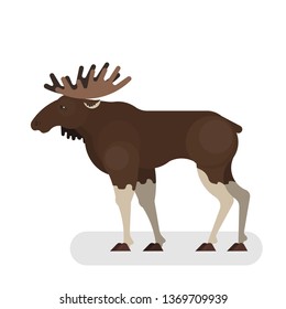 Moose animal. Wild mammal with a big horn. Forest creature from canada. Big brown character. Isolated vector illustration in cartoon style