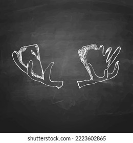 A moose antler hand drawn with chalk on a blackboard. isolated vector graphic.