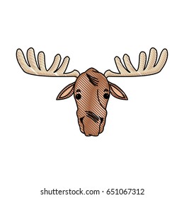 moose with antlers