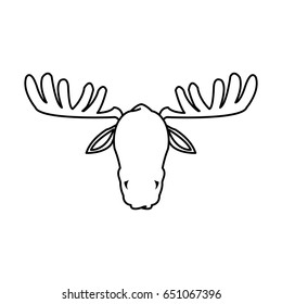 moose with antlers 