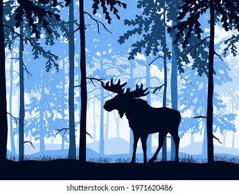 Moose with antlers posing, forest background, silhouettes of trees. Magical misty landscape. Blue illustration.