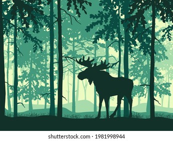 Moose with antlers posing, forest background, silhouettes of trees. Magical misty landscape. Blue, green illustration.