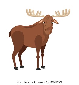 moose with antlers, wild elk image