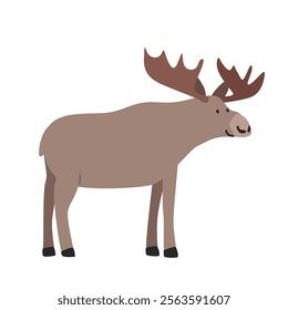 Moose with big horns cartoon clipart. Moose or elk vector illustration in flat style. Hand-drawn wild animal concept