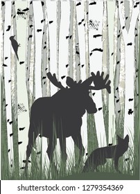 Moose in a birch grove. Wild animals in a forest. Fresh modern style