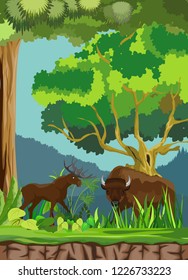 Moose and bison animals in the forest, wildlife natural scene, vector illustration, grassland