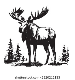 moose black and white vector illustration 