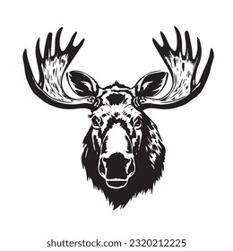 moose black and white vector illustration 