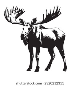 moose black and white vector illustration 