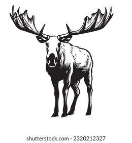 moose black and white vector illustration 