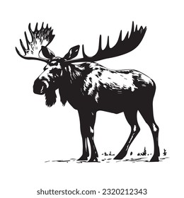 moose black and white vector illustration 