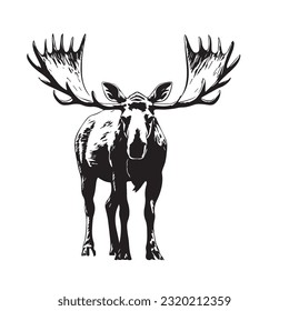 moose black and white vector illustration 
