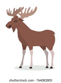 Moose cartoon character. Moose with large horns flat vector isolated on white. North America and Eurasia fauna. Animal illustration for zoo ad, nature concept, children book illustrating