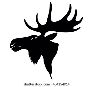 moose deer head