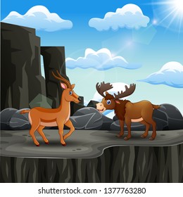 A moose and deer on the edge of a cliff