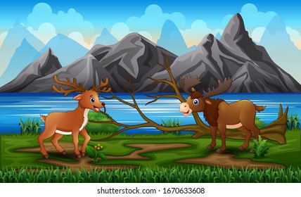 A moose and deer playing in the park