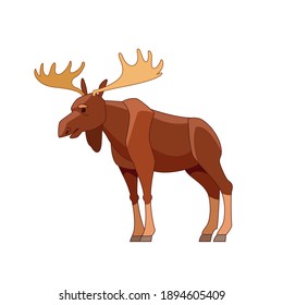 Moose Elk  Alces alces  Beautiful animal in it's nature habitat  side view  Wildlife scene  Cartoon character vector flat illustration isolated white background 
