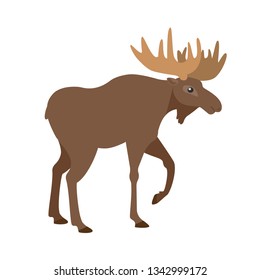 Moose, Elk. Isolated vector illustration