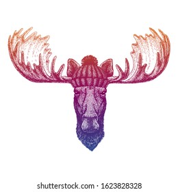 Moose, elk. Ski, skier animal wearing woolen knitted hat. Christmas time. Cartoon character for little children. Kids print for tee