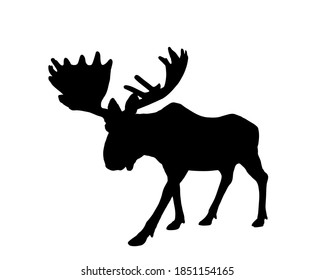 Moose elk vector silhouette illustration isolated on white background. Elk buck. Powerful deer with huge antlers symbol.