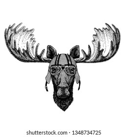 Moose, elk wearing a motorcycle, aero helmet. Hand drawn image for tattoo, t-shirt, emblem, badge, logo, patch.