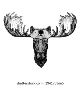Moose, elk wearing pirate tricorn hat. Capitan costume.