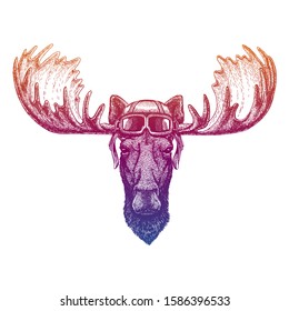 Moose, elk. Wild animal. Vector fashion illustration for kids. Children shirt print with biker, motorcycle symbol.