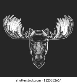 Moose, elk Wild animal wearing hockey helmet. Print for t-shirt design.