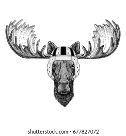 Moose, elk Wild animal wearing rugby helmet Sport illustration