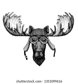 Moose, elk wild biker animal wearing motorcycle helmet. Hand drawn image for tattoo, emblem, badge, logo, patch, t-shirt.