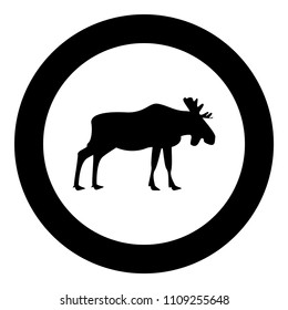 Moose elt icon black color in circle round 