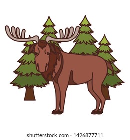 Moose forest animal of canada design