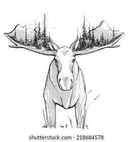 Moose Forest And Mountains Illustration. Animal In The Nature Drawing. Has White Undercoat. Vector EPS8