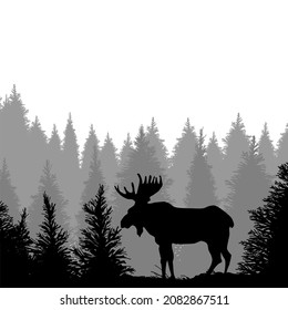 Moose In Forest vector. Moose illustration sign. Moose Scene symbol or logo.